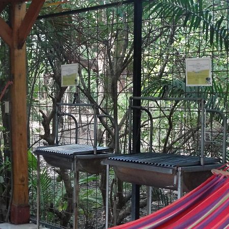Casa Del Sol -Villas Catalinas Potrero  Dış mekan fotoğraf